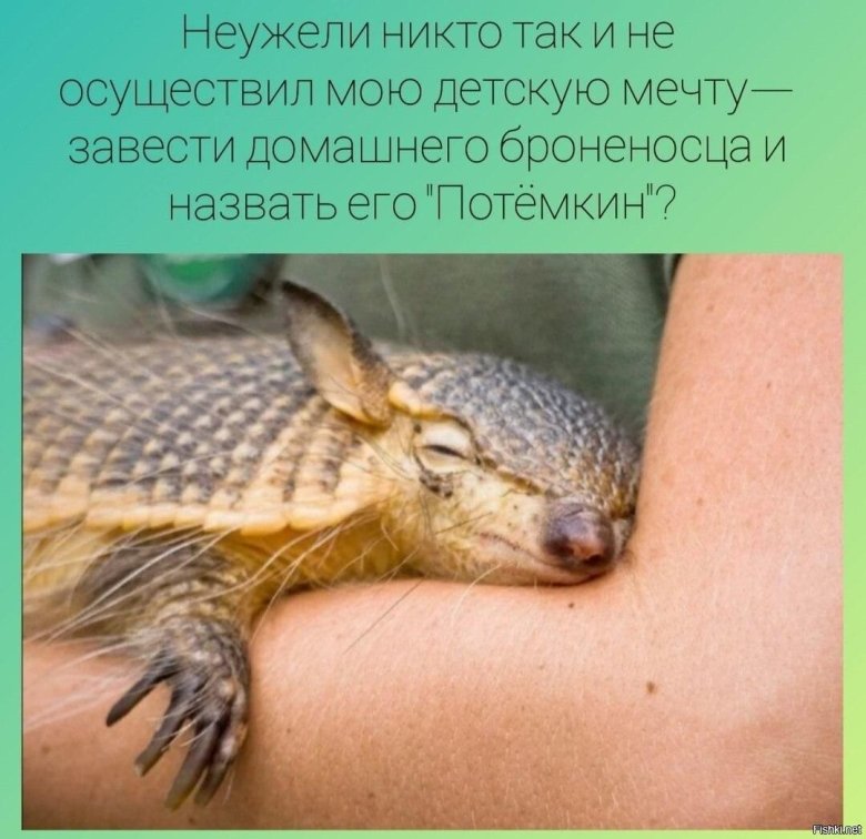 Броненосец эндемик