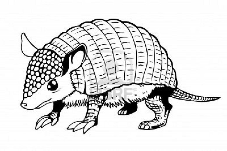 Киплинг броненосцы