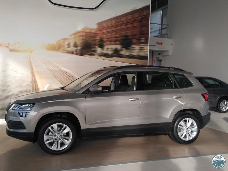 Skoda karoq i