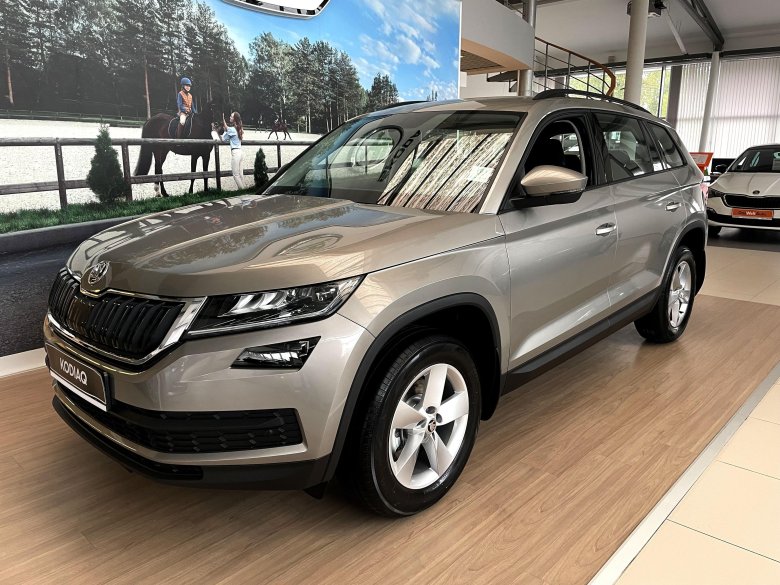 Skoda kodiaq 2016 — 2022 i серый