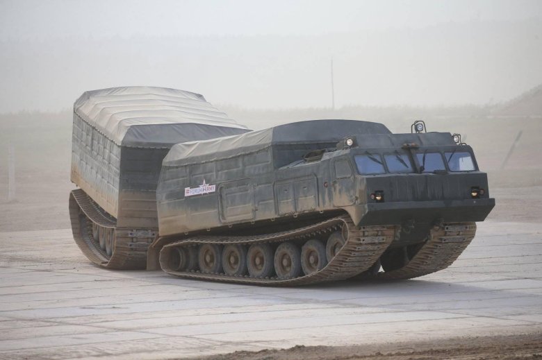 Вездеход дт-10пм \ витязь\