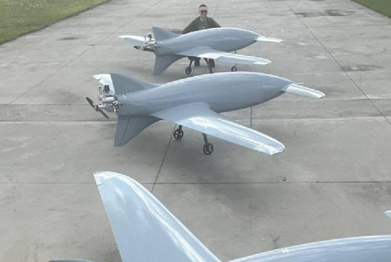 Беспилотники самолетного типа