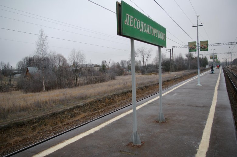 Лесодолгоруково станция жд