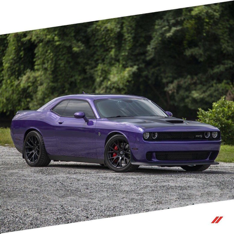 Dodge challenger srt8 фиолетовый