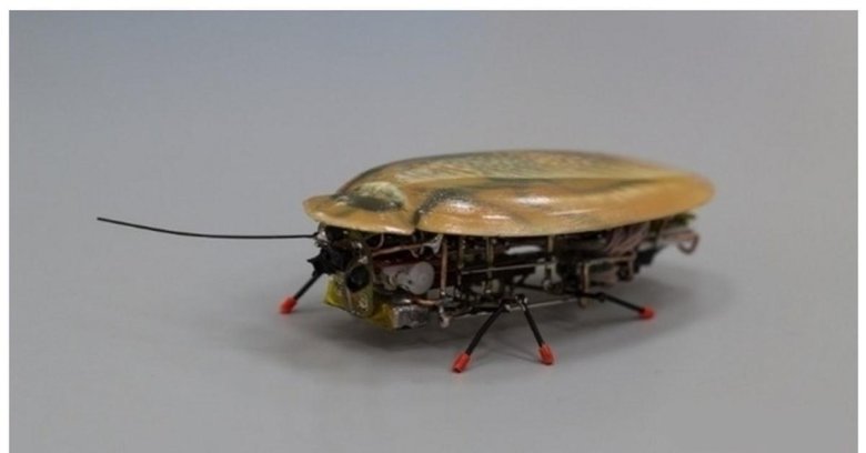 Робот таракан