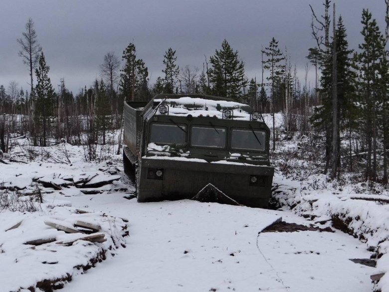 Вездеход витязь дт 30п