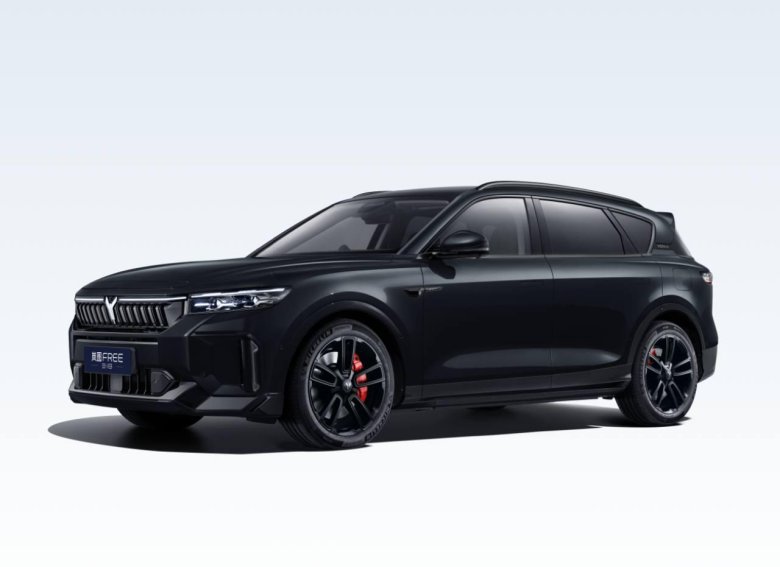 Bmw x5 m ii (f85)