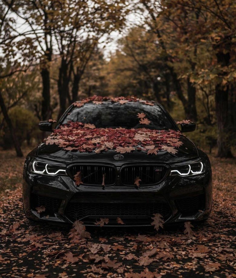 Bmw m5 f90 zedsly