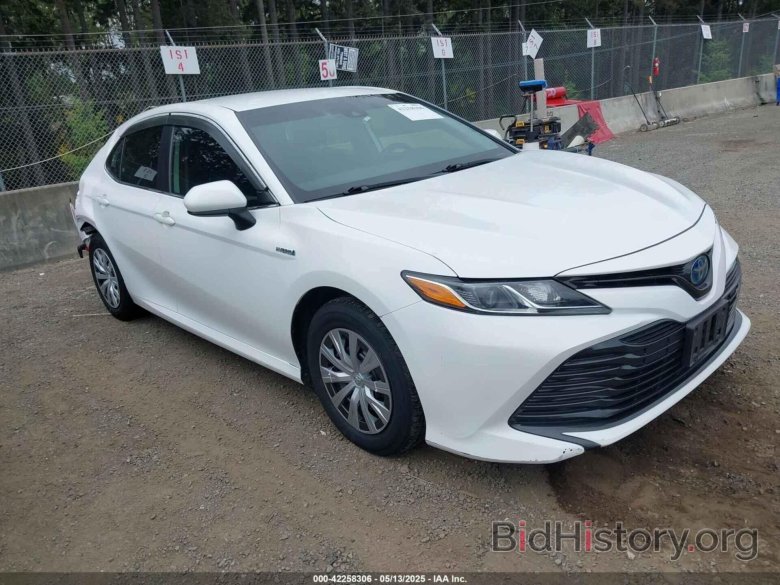 Toyota camry le 2020