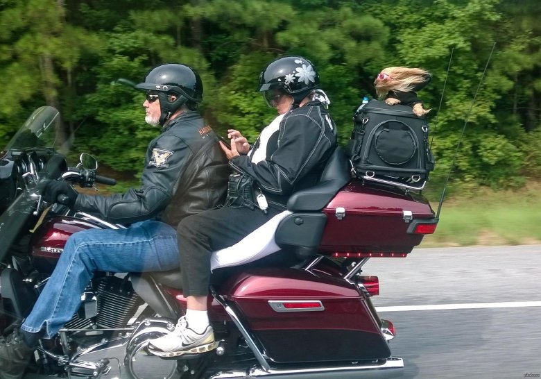 Смешные ситуации с мотоциклами