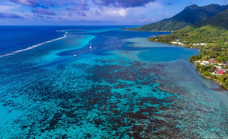 Аваруа острова кука