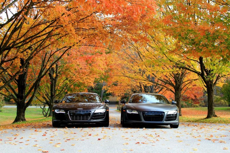 Ауди р8 осень
