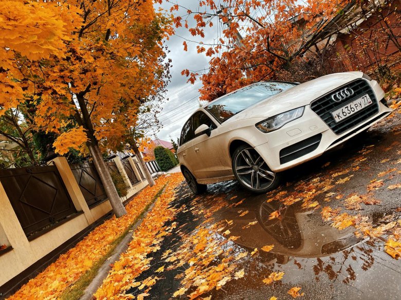 Audi осень