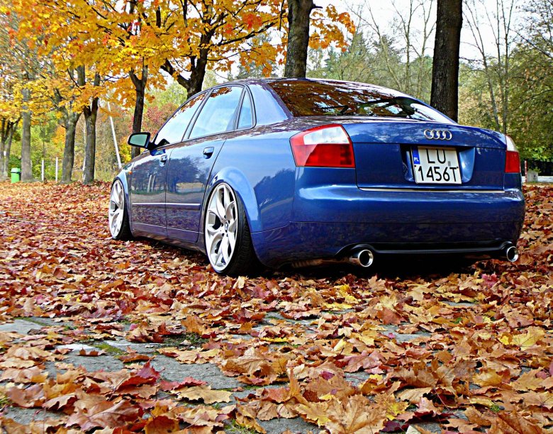 Ауди а4 стенс