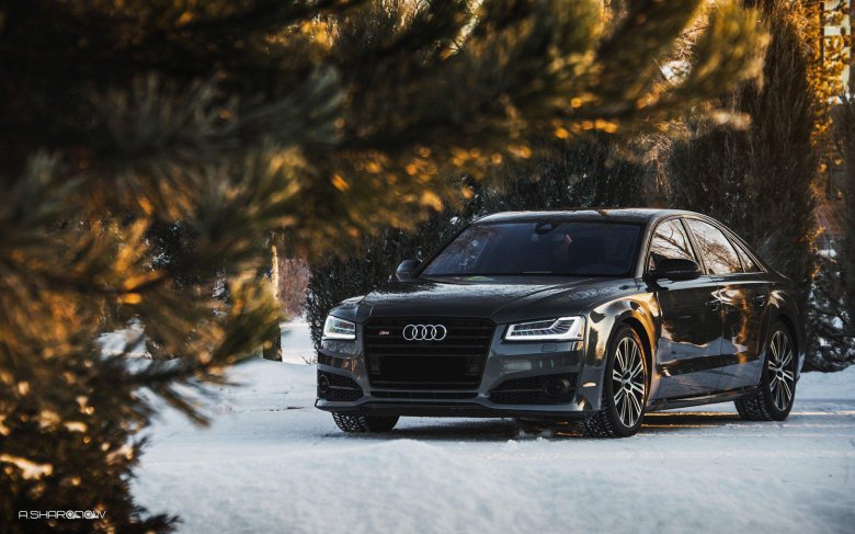 Audi s8 plus