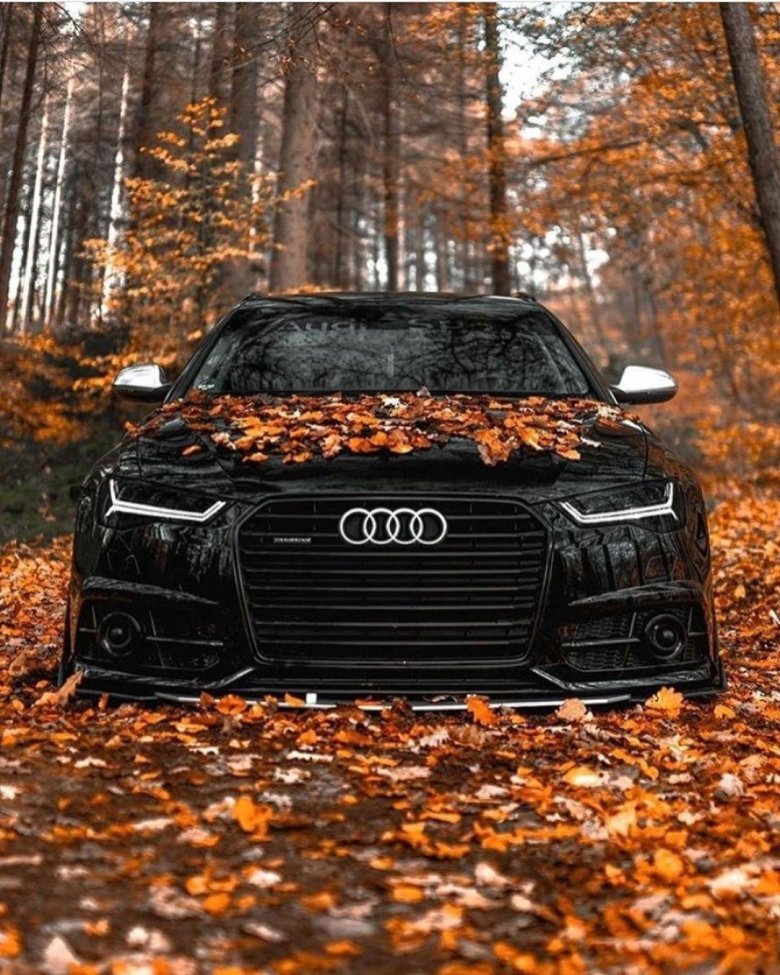 Rs 6 audi