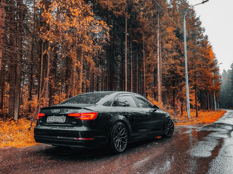 Ауди а7 осенью