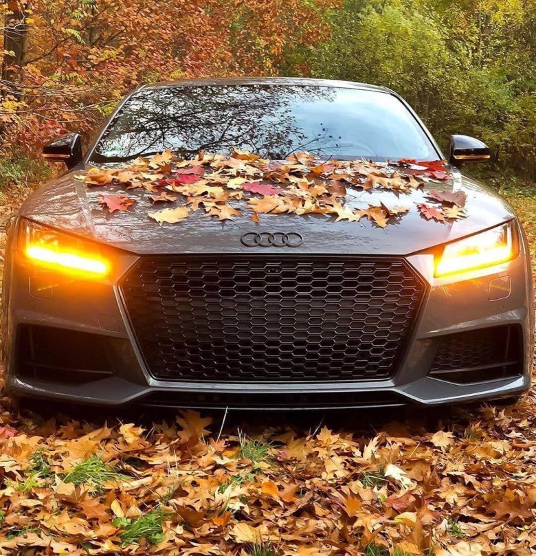 Ауди тт осенью
