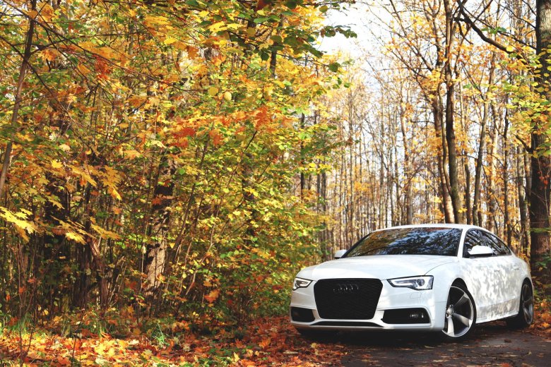 Осень машина