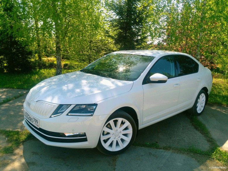 Шкода октавия а8 белая