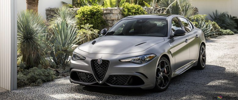 Alfa romeo giulia silver