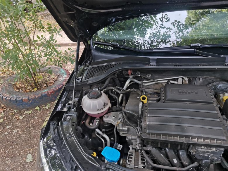 Шкода рапид подкапотное 1.6