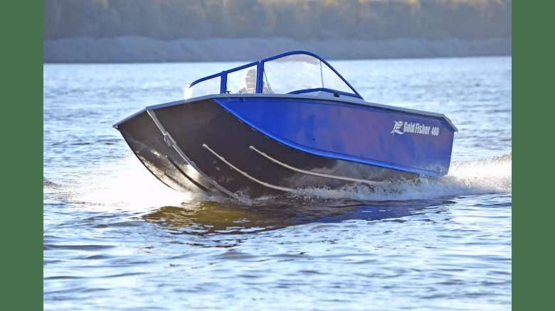 Моторная лодка gold fisher 480 dcm fish