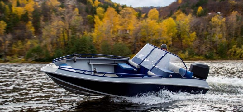 Моторная лодка realcraft 200