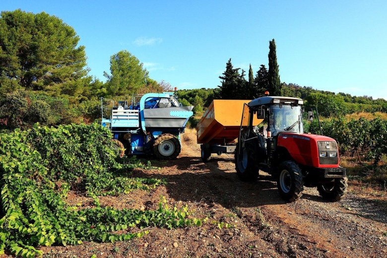 Виноградный комбайн нью холланд