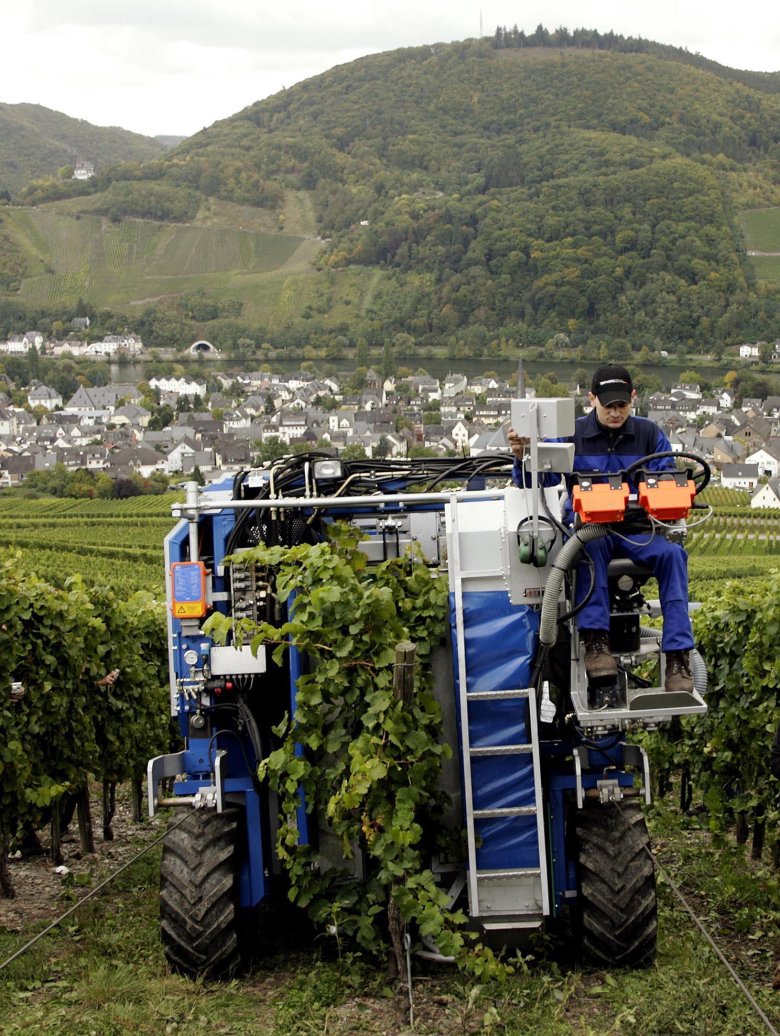 Виноградоуборочный комбайн квр-1