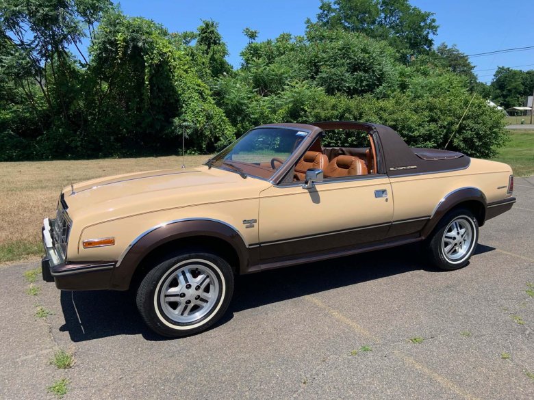Amc eagle