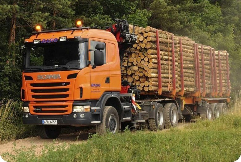 Скания 140 лесовоз