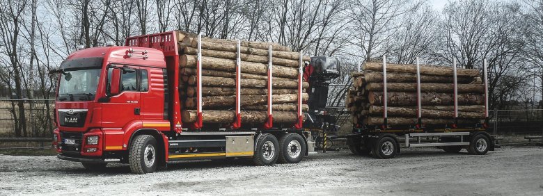 Ман тгс лесовоз
