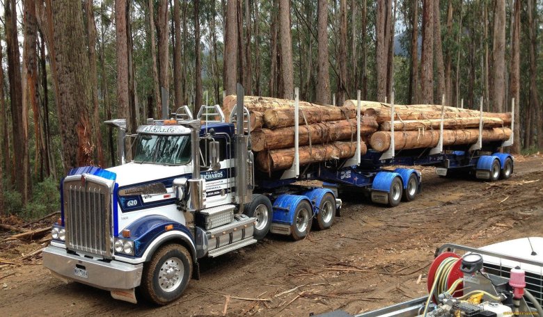 Kenworth 849 лесовоз