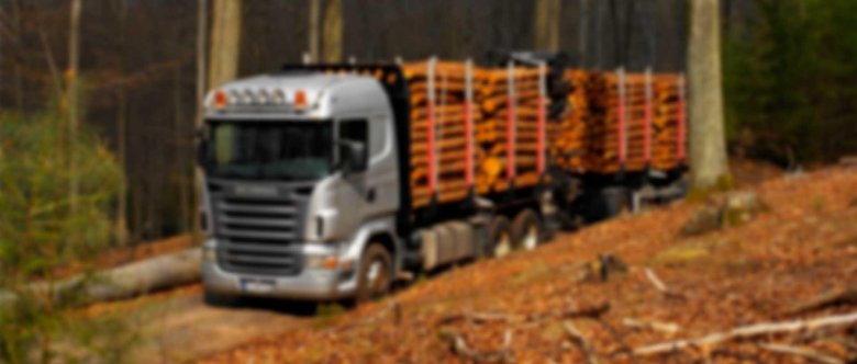 Scania r730 лесовоз