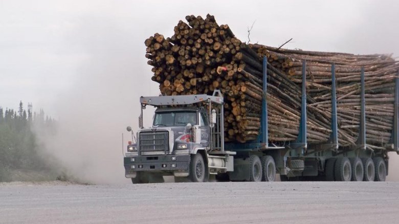 Western star 6900xd лесовоз