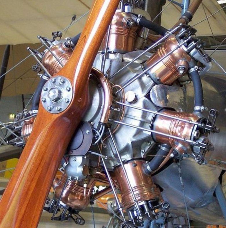 Сальмсон двигатель авиационный