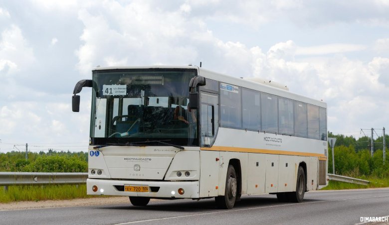 Голаз автобус