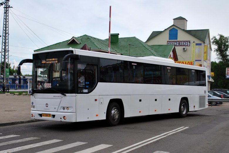 Голаз-525110 вояж