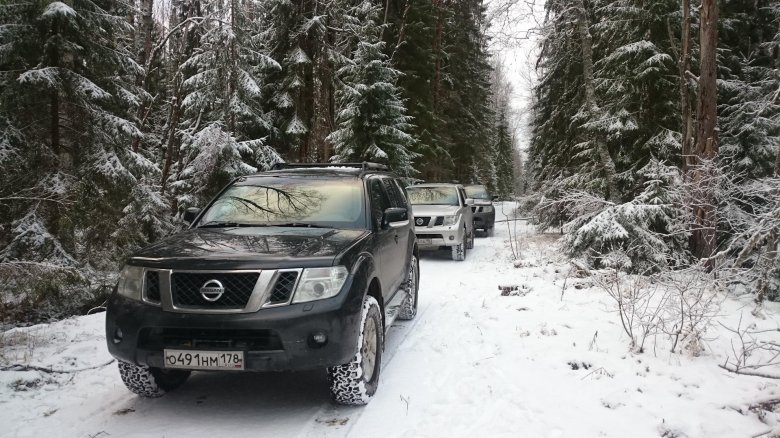 Ниссан патфайндер 2 5 дизель