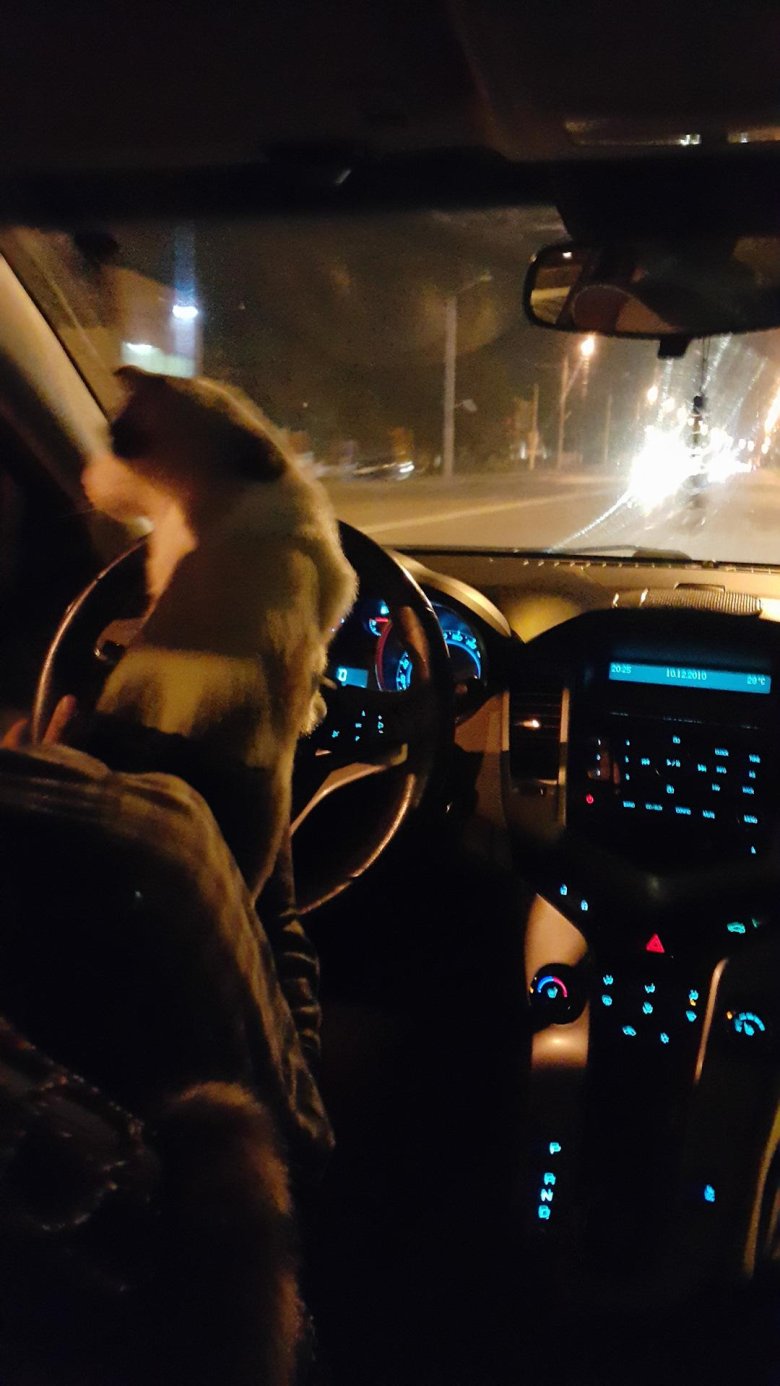 Салон шевроле круз