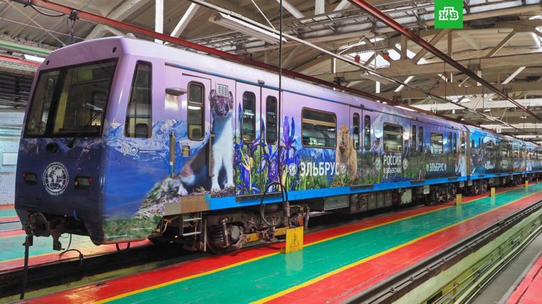 Поезд метро яуза