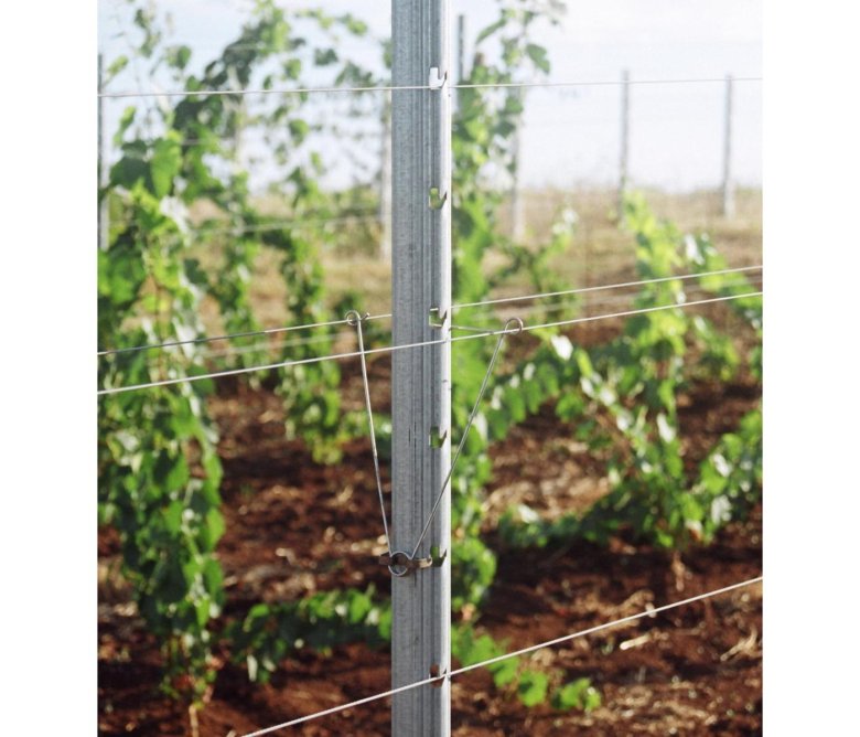 Шпалерные столбы для винограда металл