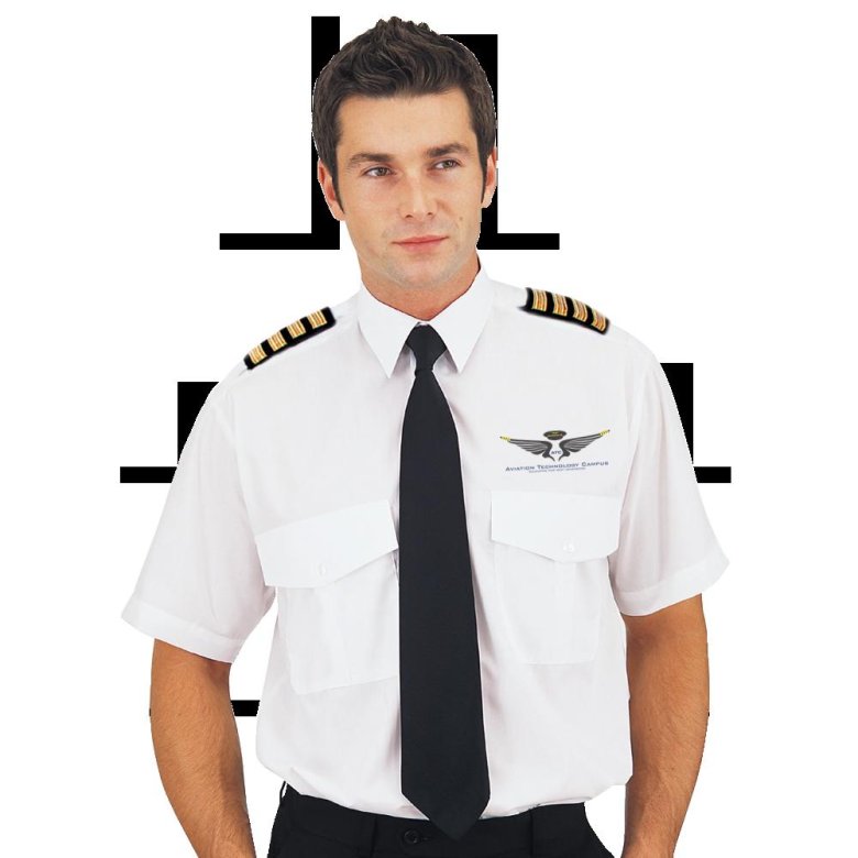 Пилот форма