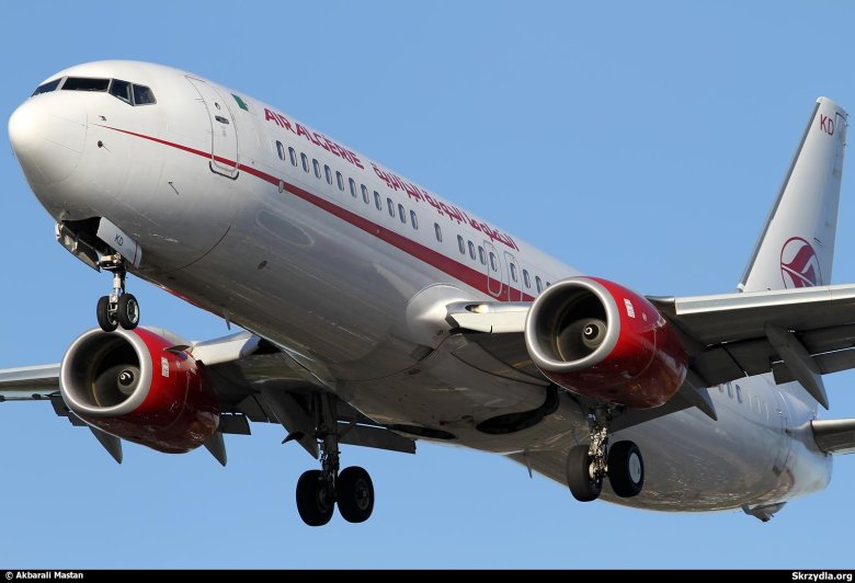 Авиакомпания алжирские авиалинии