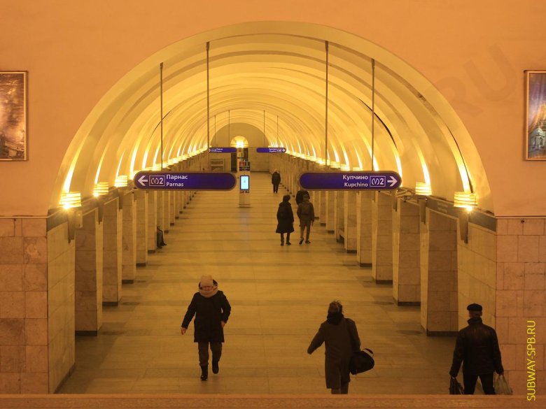Станция метро проспект просвещения санкт-петербург