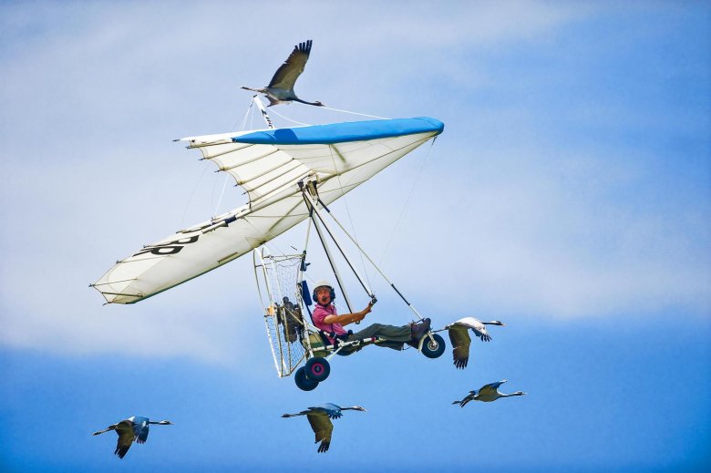 Путин дельтаплан стерхи