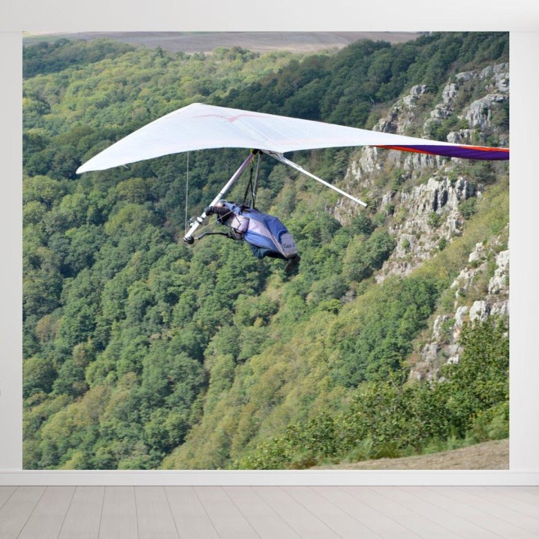 Дельтаплан 1948