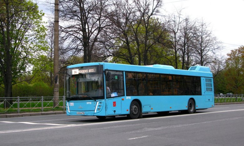 Маз 203 автобус