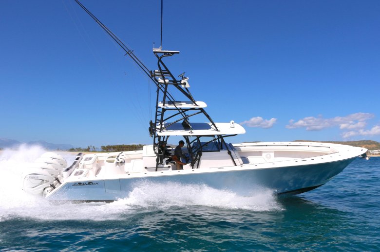 Катамаран моторный